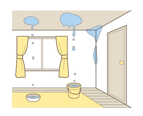 金属屋根を塗装しないとどうなる?塗装の必要性と塗装するタイミング