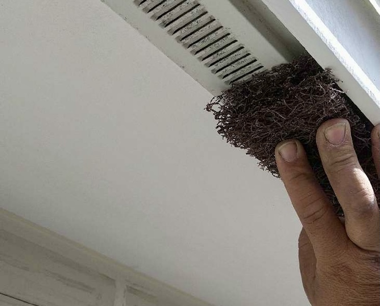 なぜ重要？外壁塗装を成功させる「ケレン」の役割を徹底解説